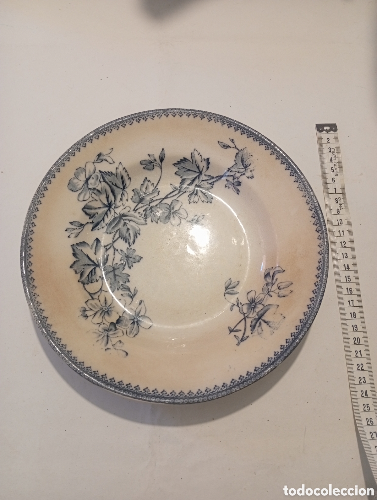 Antig&uuml;edades: plato de porcelana Chino Sandeman Macdougall