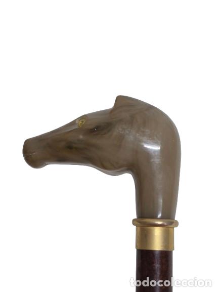 Antiquit&eacute;s: Bast&oacute;n de Paseo - Empu&ntilde;adura con Cabeza de Caballo