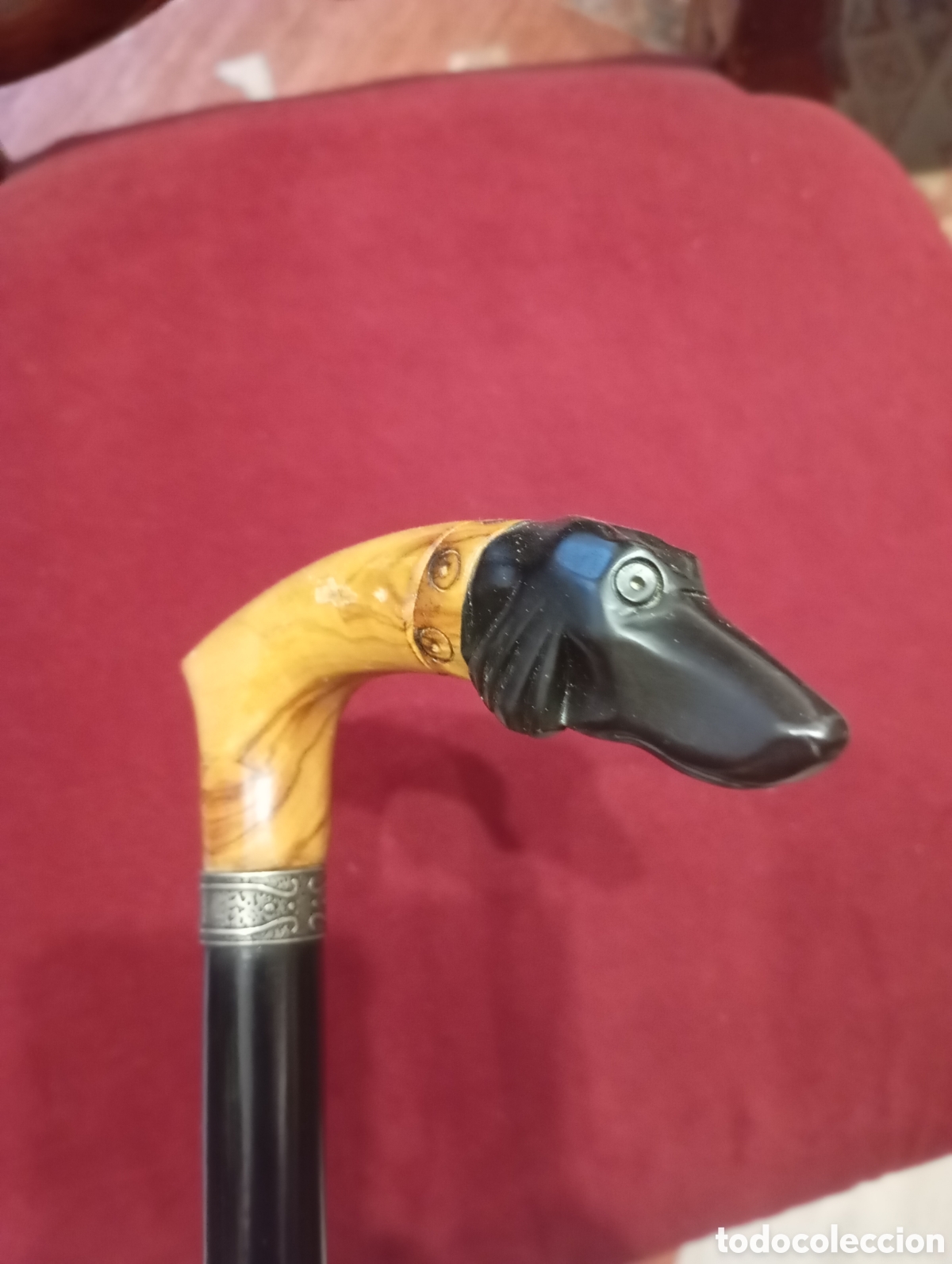 Antiques: Elegante bast&oacute;n con empu&ntilde;adura en forma de cabeza de galgo.