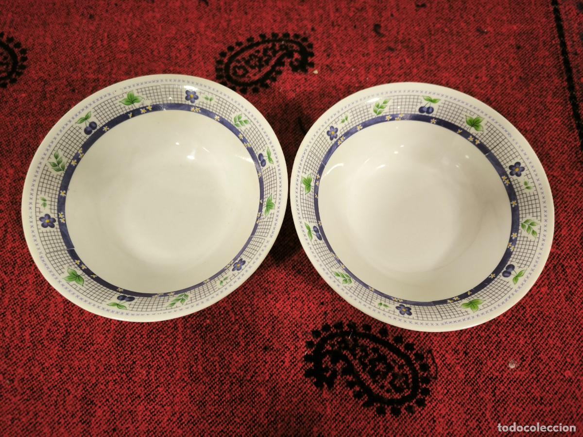 Antig&uuml;edades: Pareja De Platos Hondos De Cer&aacute;mica Decorada &ndash; Dise&ntilde;o Floral Cl&aacute;sico 18 Cms