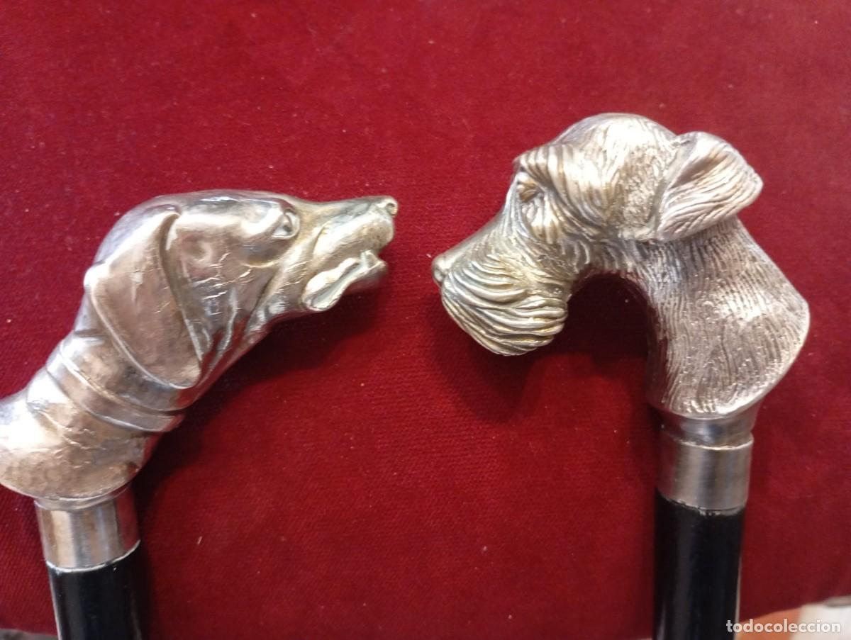 Antiguidades: Colecci&oacute;n de bastones con dise&ntilde;os de Schnauzer y Galgo.
