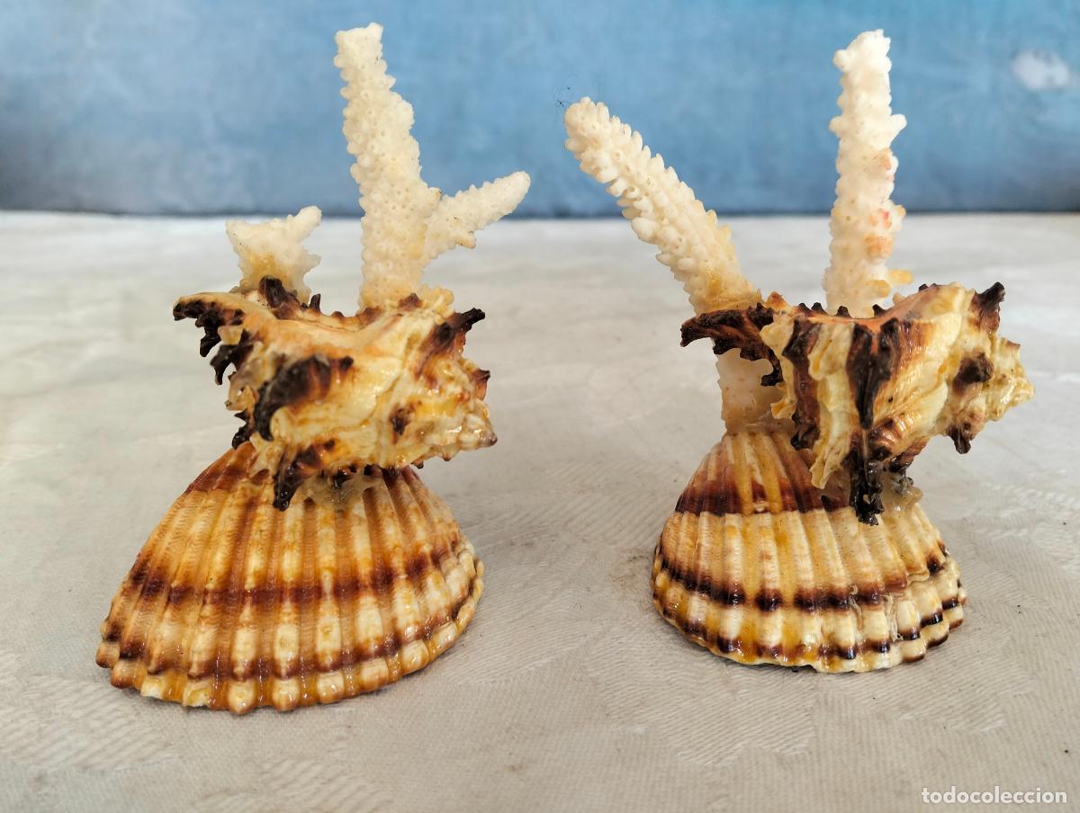 Antiques: 2 figura figuras de conchas de Mar y caracoles con remates de corales de los a&ntilde;os 60-70