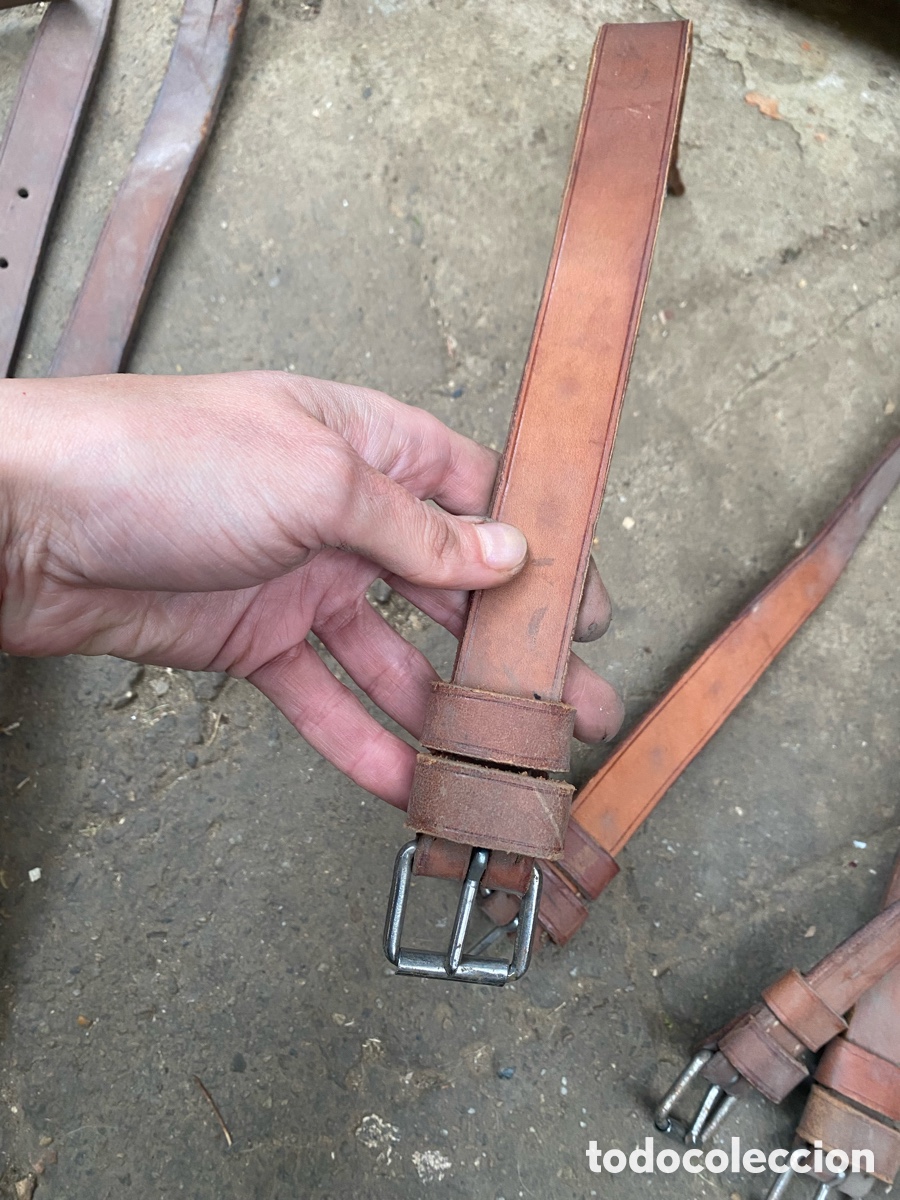 Antig&uuml;edades: Lote de 8 correas de cuero - Guarnicioner&iacute;a
