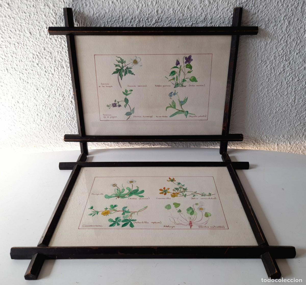 Antig&uuml;edades: Dos cuadros marcos madera cruzados estilo Victoriano Modernista Principios Siglo XX 40x30 cm.