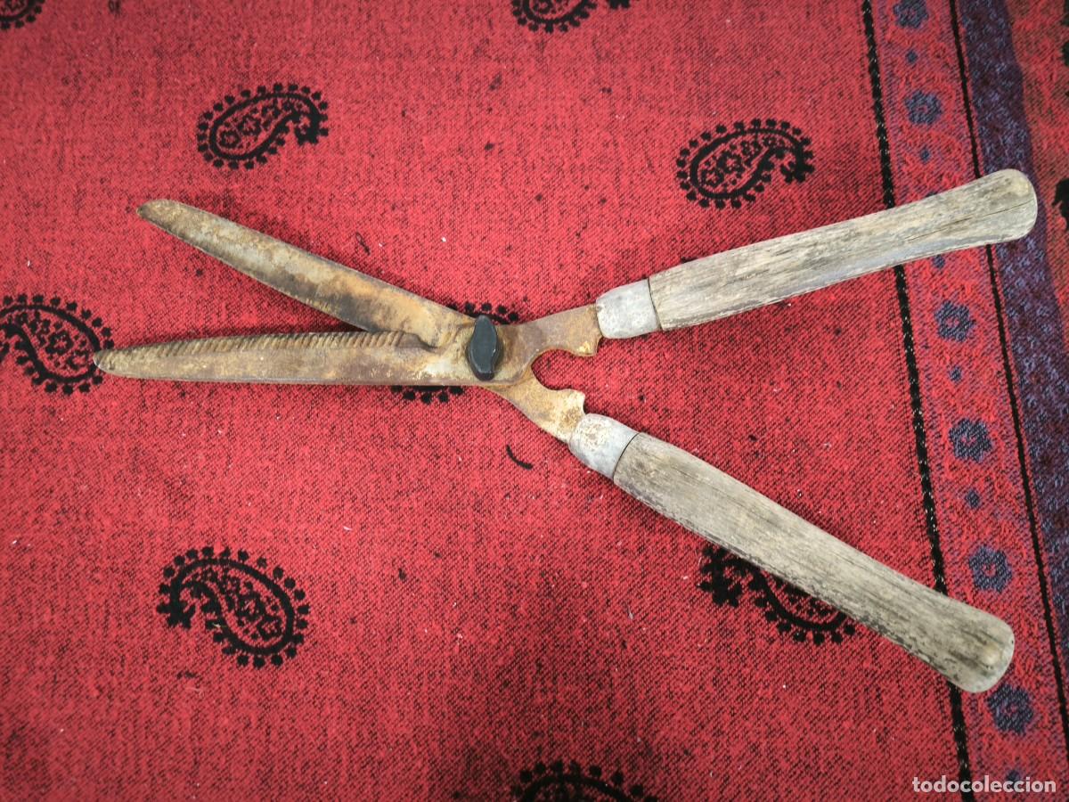 Antig&uuml;edades: Antiguas Tijeras De Podar De Hierro Con Mangos De Madera &ndash; Herramienta Tradicional 57 Cms