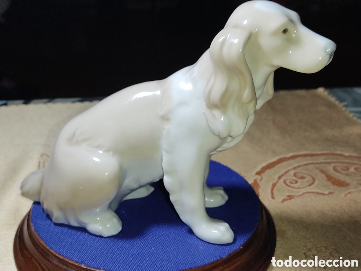 Antig&uuml;edades: Figura perro Setter de porcelana lladro.A&ntilde;os 60.