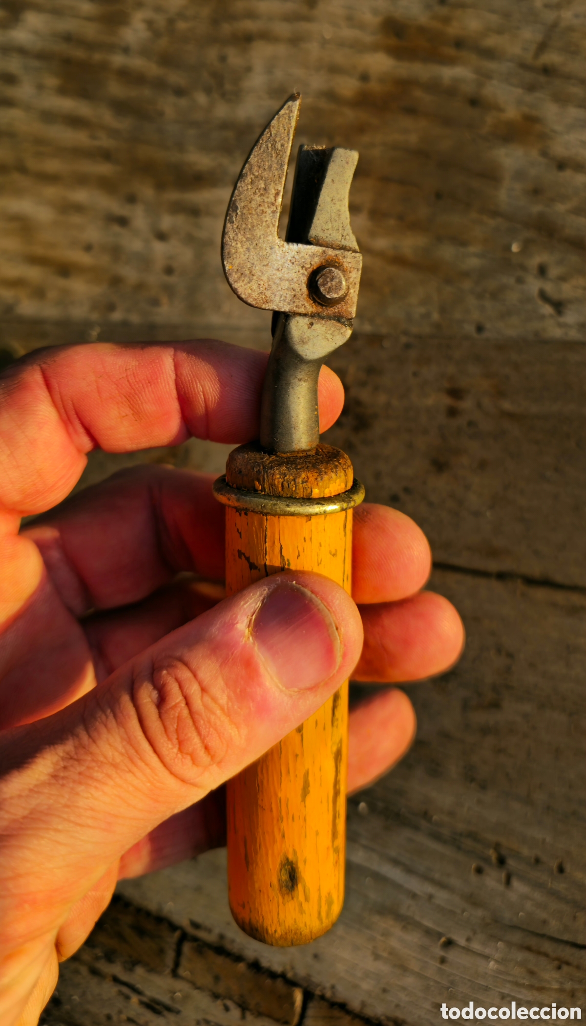 Antig&uuml;edades: Antiguo Abrelatas de garra