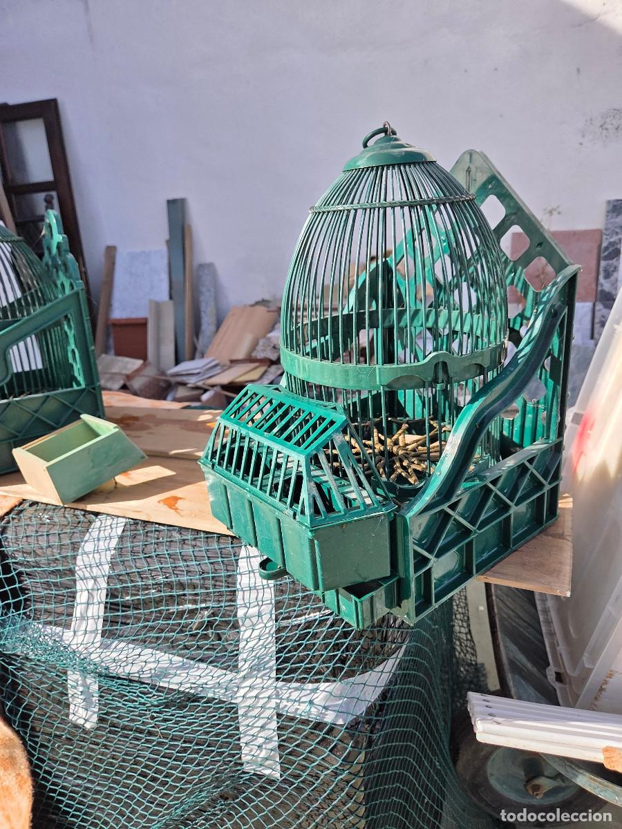Antig&uuml;edades: jaula con caja de pajaros perdices