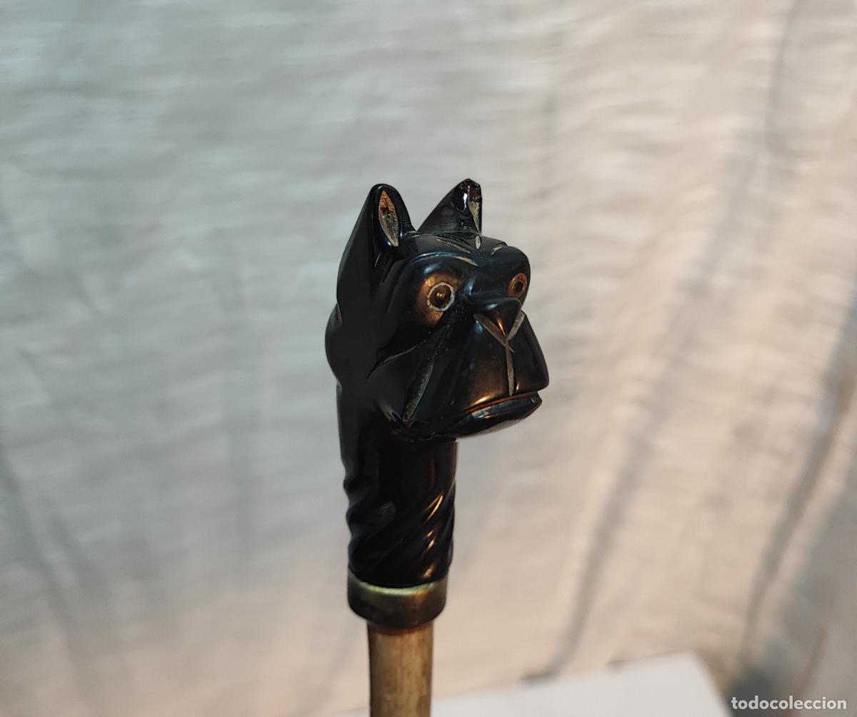 Antig&uuml;edades: EXCELENTE BASTON CON EMPU&Ntilde;ADURA DE CABEZA DE PERRO