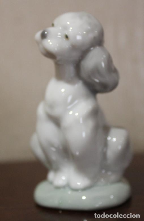 Antig&uuml;edades: Perro Lladr&oacute; (caniche)