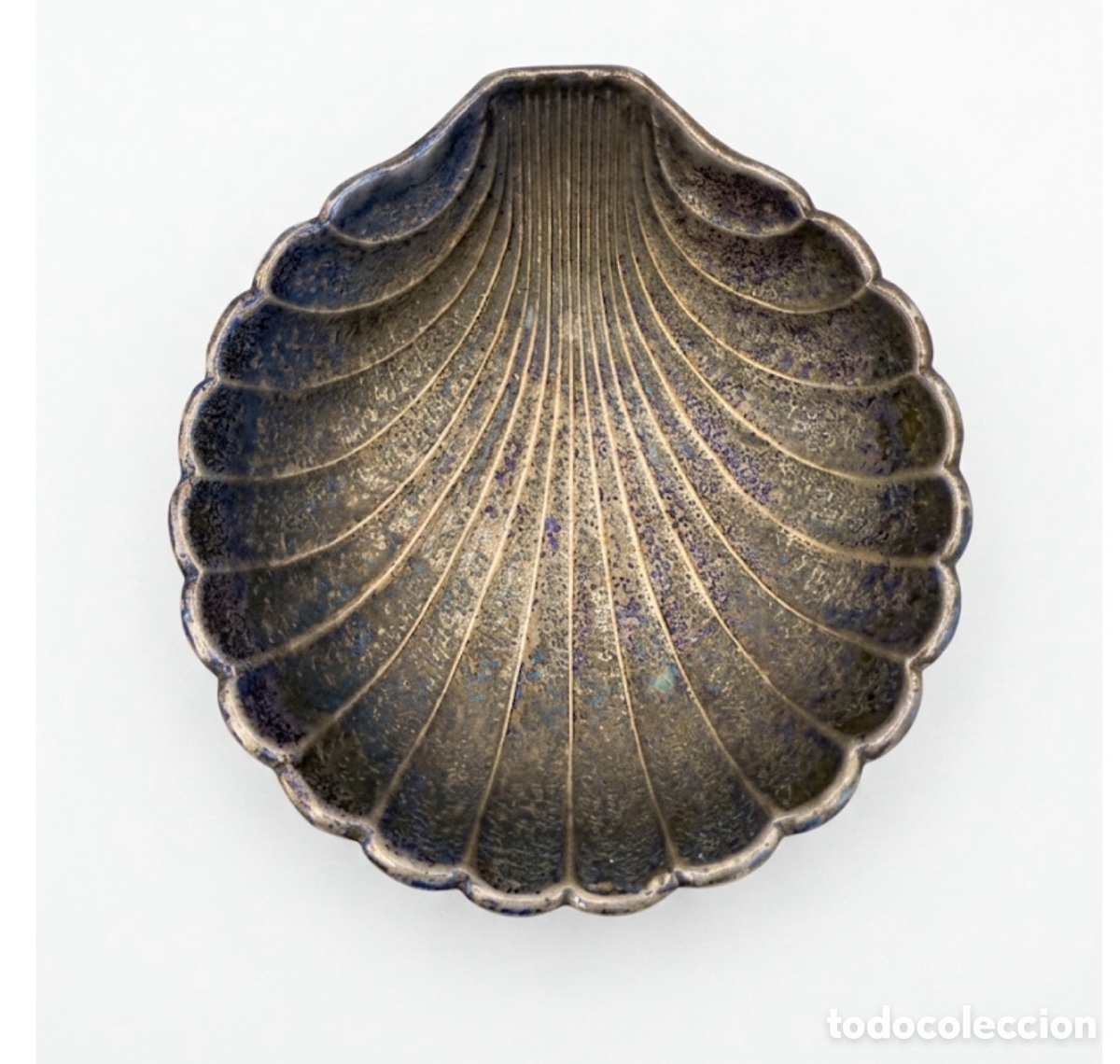 Antig&uuml;edades: Concha no plata antigua