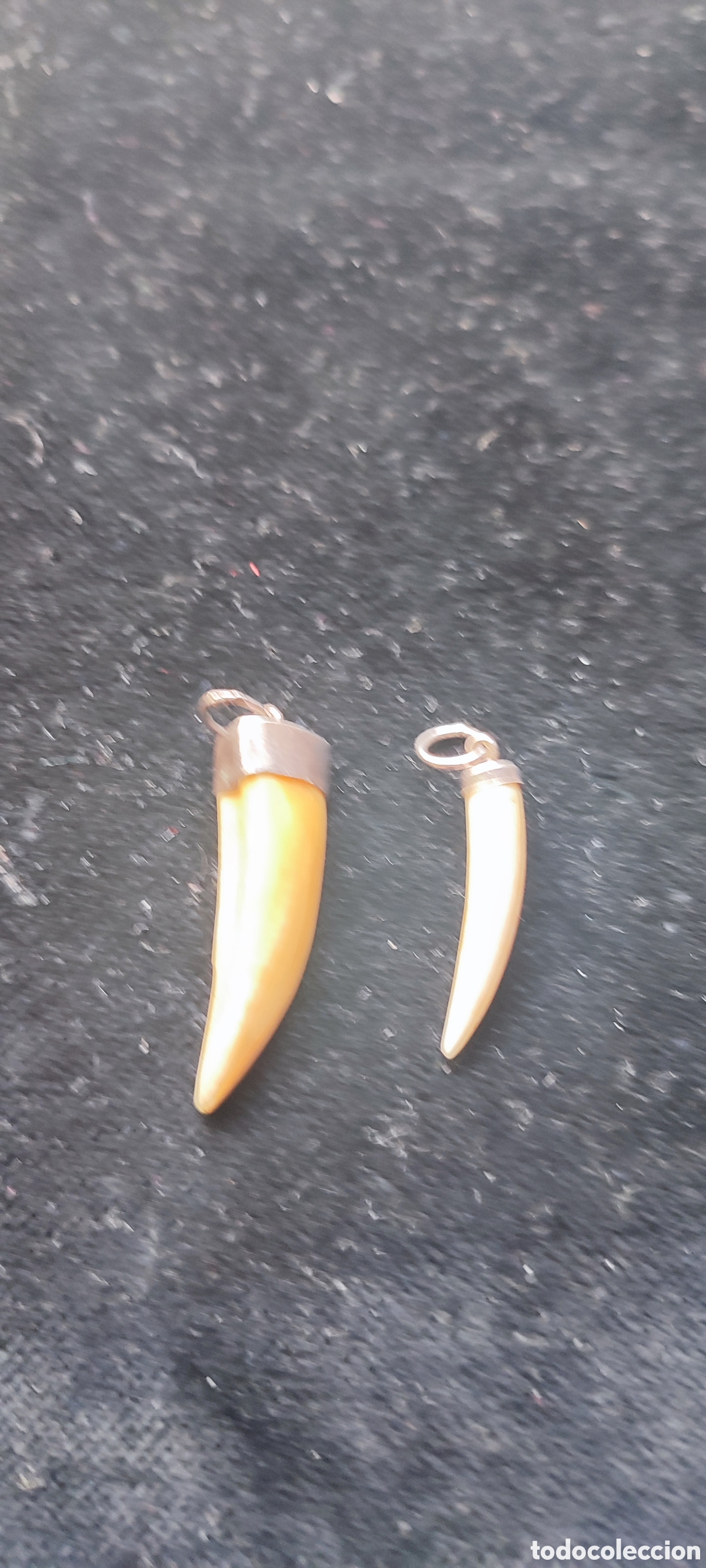 Antig&uuml;edades: Dos antiguos colmillos de marfil engarzados en plata para colgantes