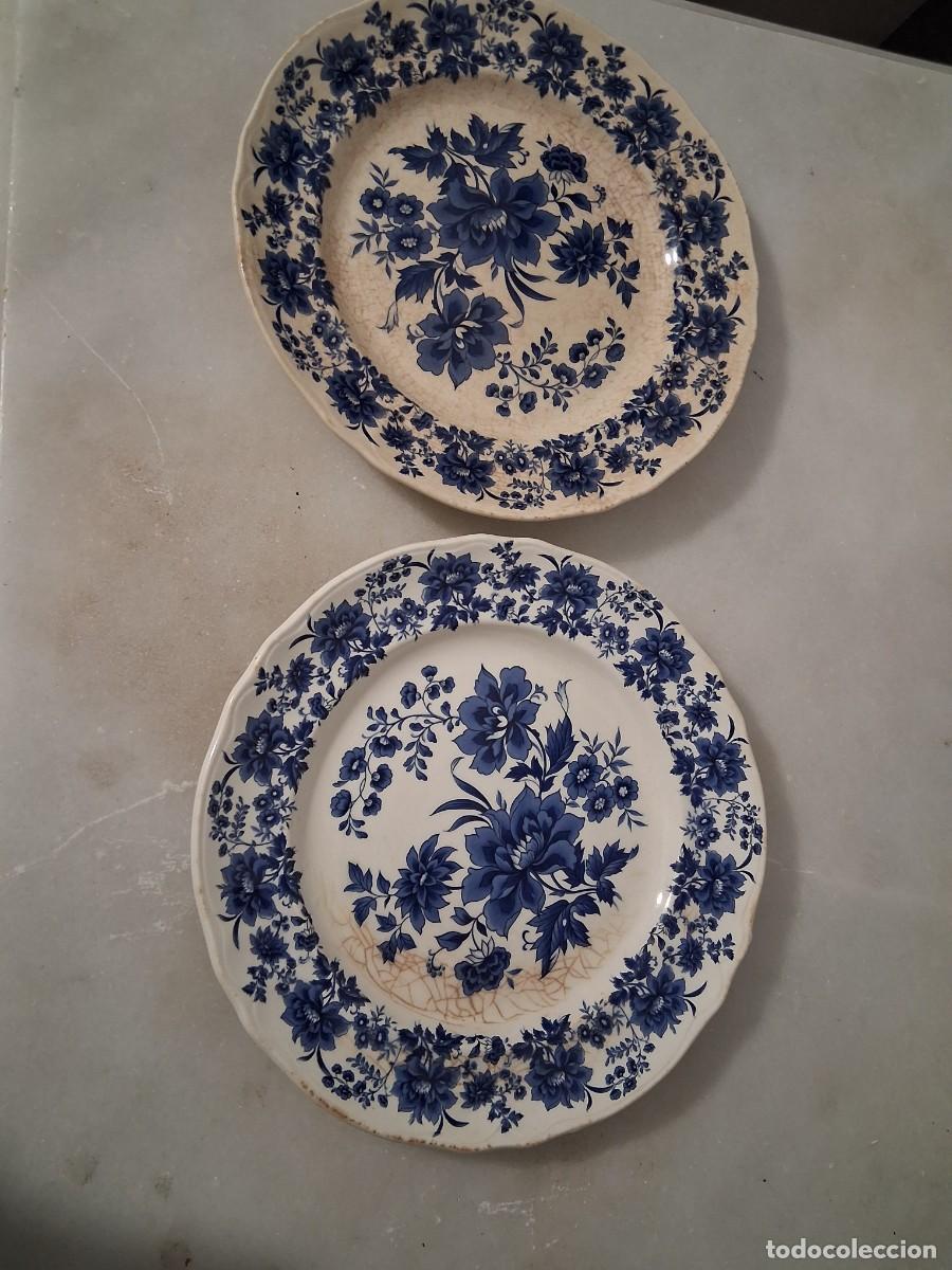 Antiquit&auml;ten: 2 Platos de porcelana San Claudio principado bluebouquet