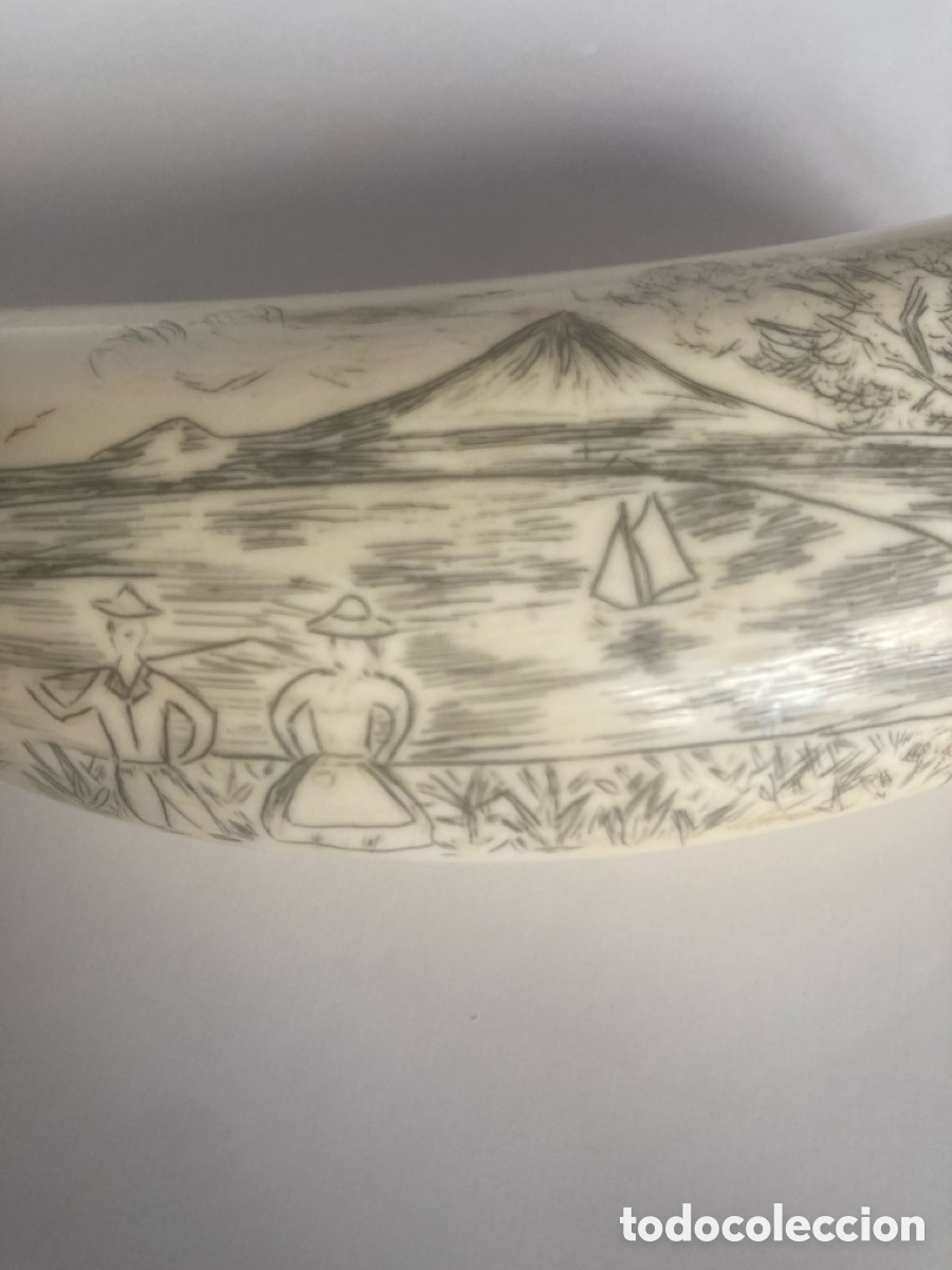 Antig&uuml;edades: Diente de cachalote Scrimshaw - Foto 4