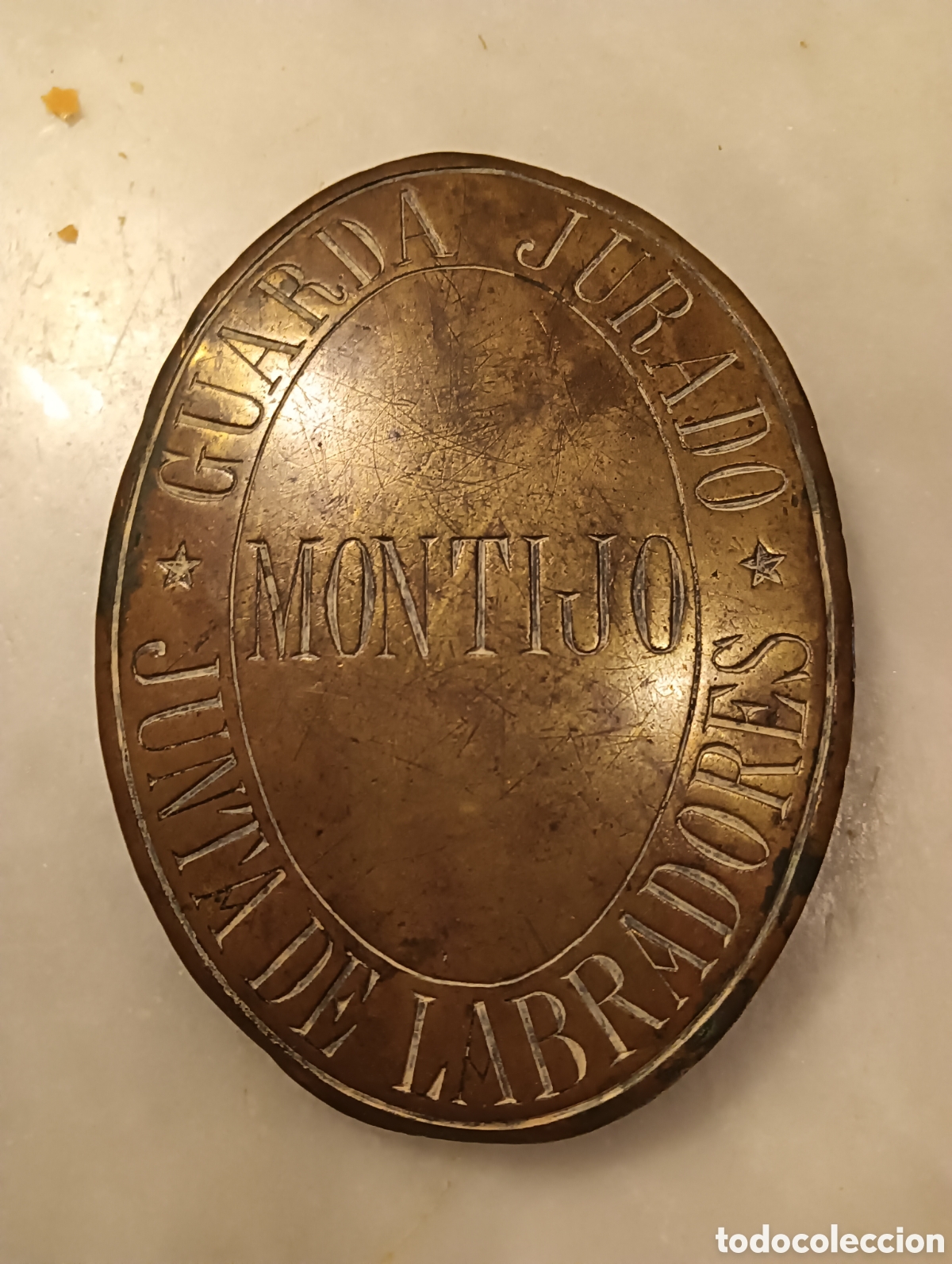 Antig&uuml;edades: Placa de guarda antigua de montijoj - Foto 1
