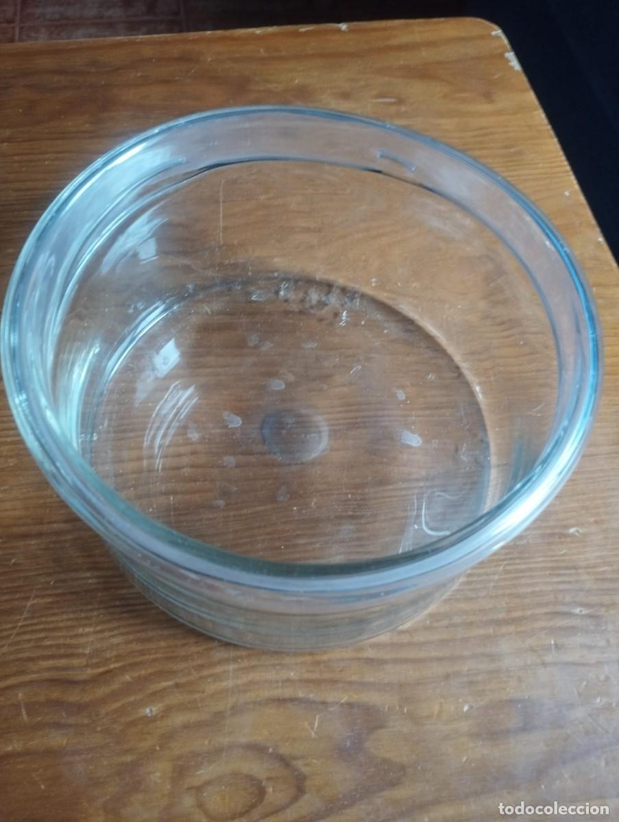 Antig&uuml;edades: Cristalizador de vidrio de 21 cm de diametro