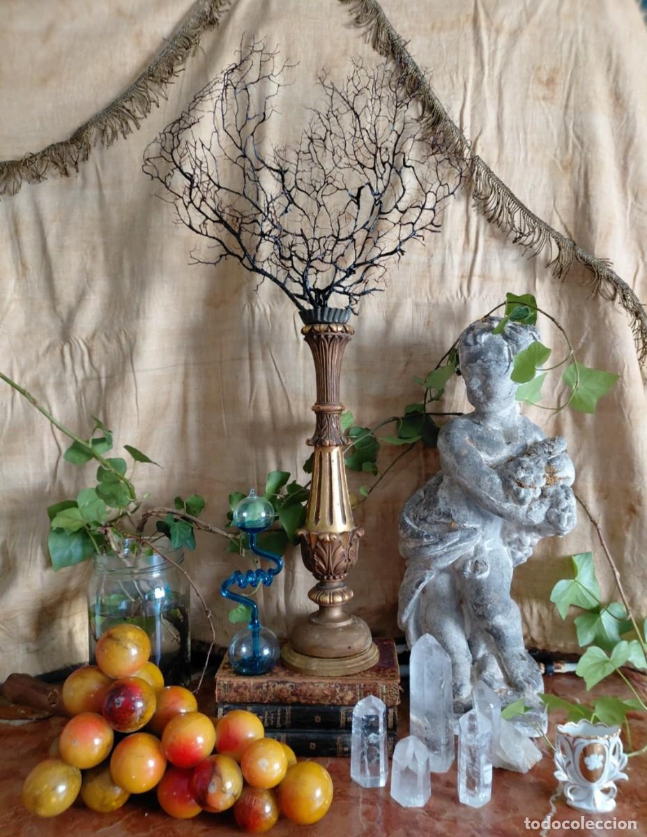 Antig&uuml;edades: Peana pedestal madera antiguo con gorgonia.