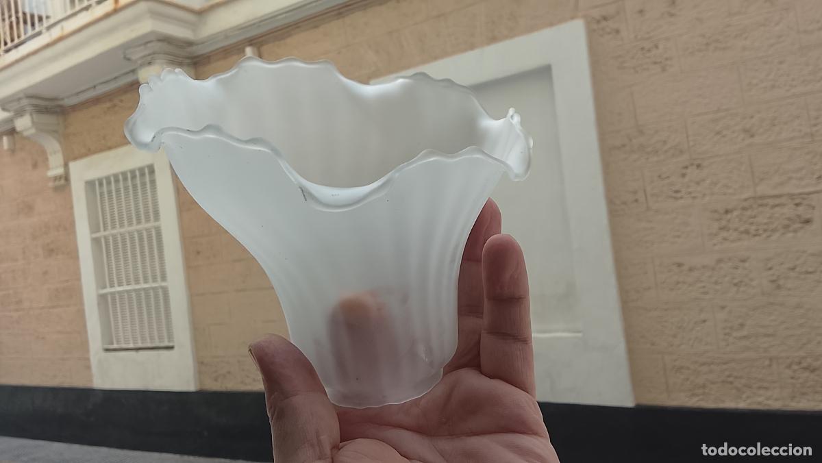 Antig&uuml;edades: ANTIGUA TULIPA CRISTAL O SIMIL REPOSICION DE LAMPARAS, FORMA ASIMETRICA FLOR