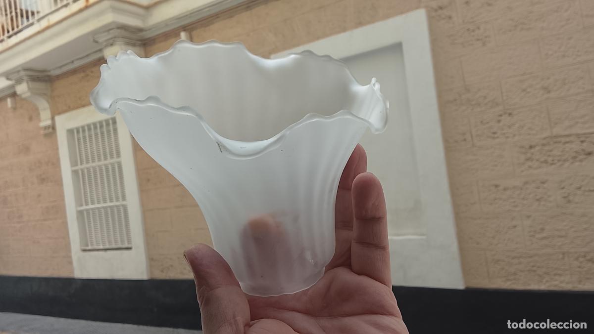 Antig&uuml;edades: ANTIGUA TULIPA CRISTAL O SIMIL REPOSICION DE LAMPARAS, FORMA ASIMETRICA FLOR