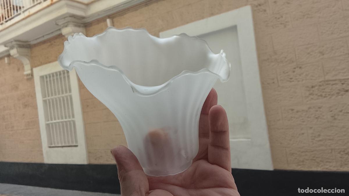 Antig&uuml;edades: ANTIGUA TULIPA CRISTAL O SIMIL REPOSICION DE LAMPARAS, FORMA ASIMETRICA FLOR