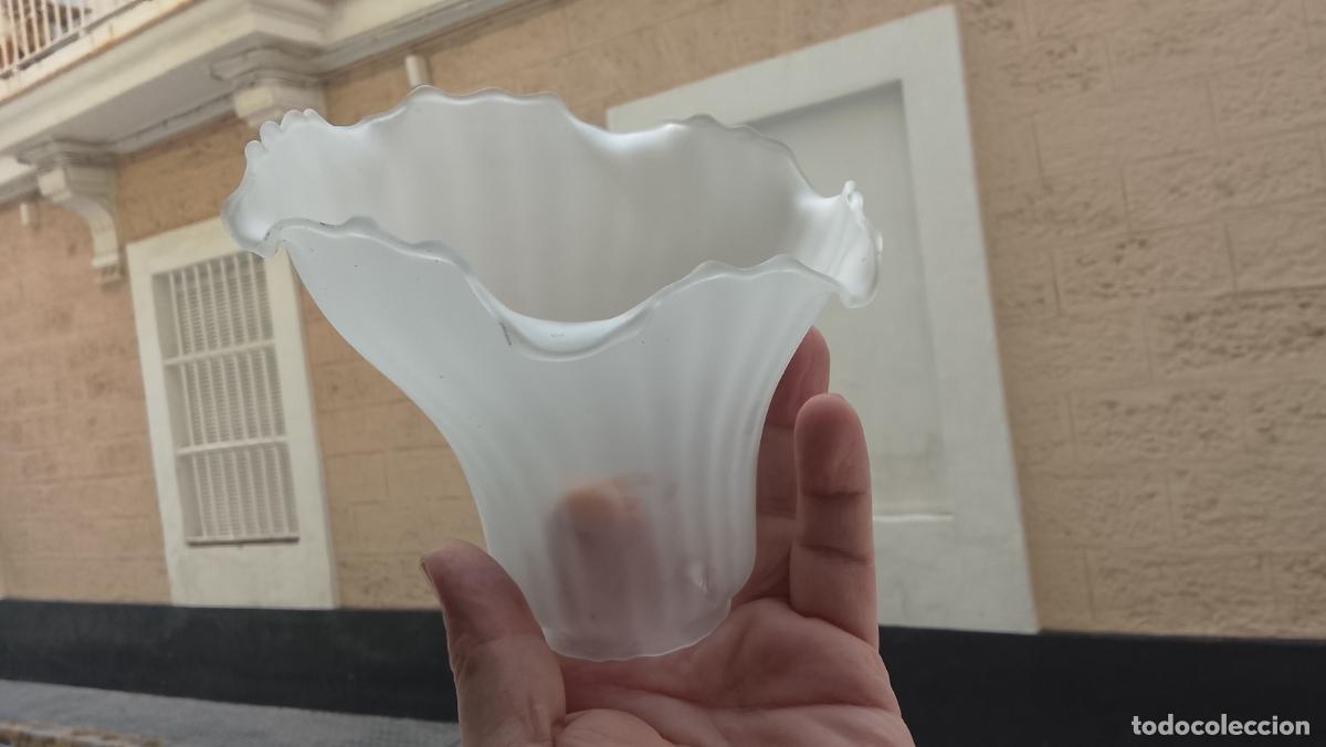 Antig&uuml;edades: ANTIGUA TULIPA CRISTAL O SIMIL REPOSICION DE LAMPARAS, FORMA ASIMETRICA FLOR