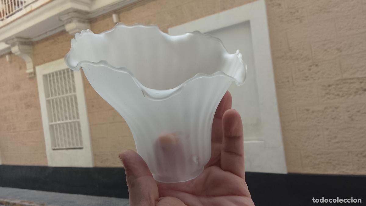 Antig&uuml;edades: ANTIGUA TULIPA CRISTAL O SIMIL REPOSICION DE LAMPARAS, FORMA ASIMETRICA FLOR