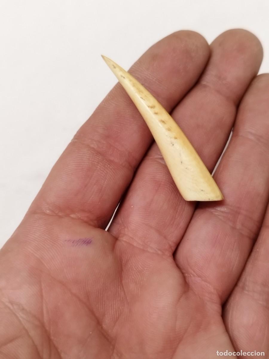 Antig&uuml;edades: Antiguo peque&ntilde;o cuerno a identificar.