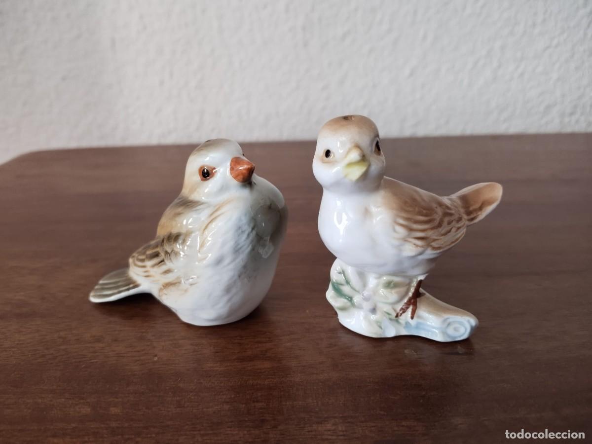 Antig&uuml;edades: Pajarillos salpimenteros