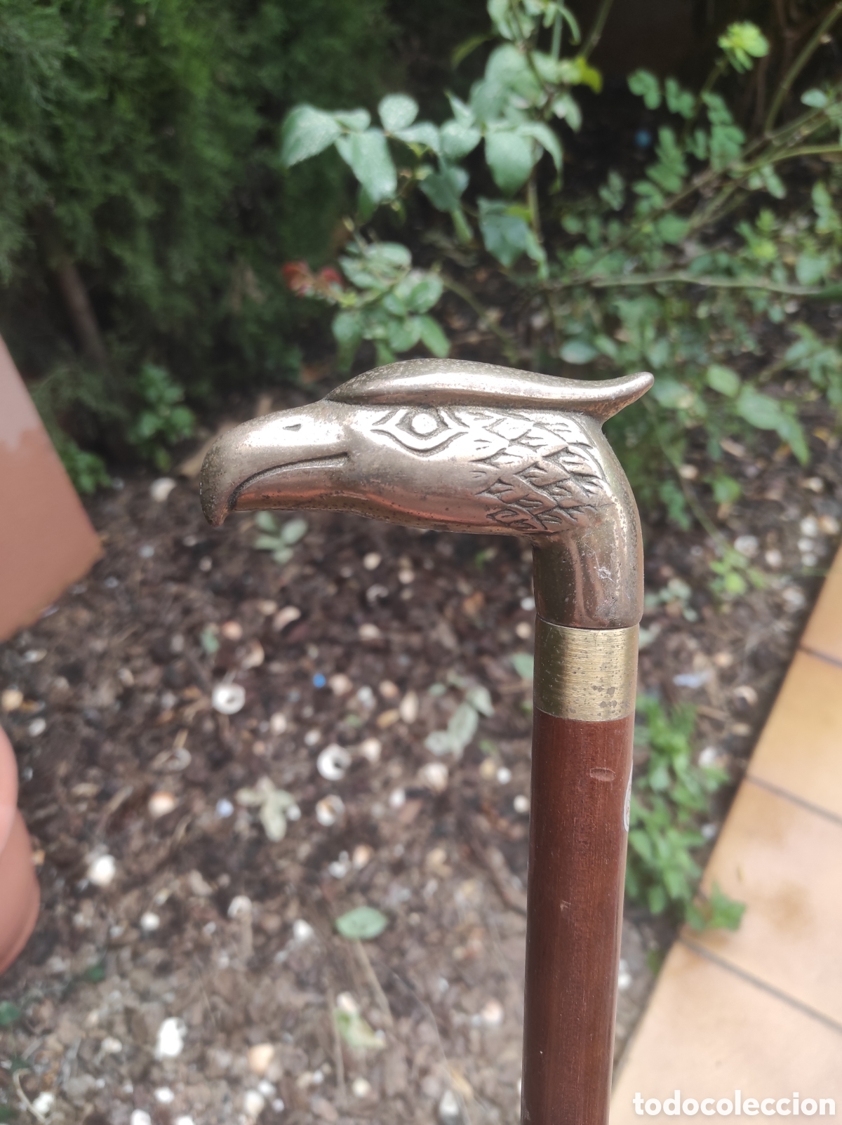 Antig&uuml;edades: Bast&oacute;n de madera con mango de bronce (cabeza &aacute;guila)