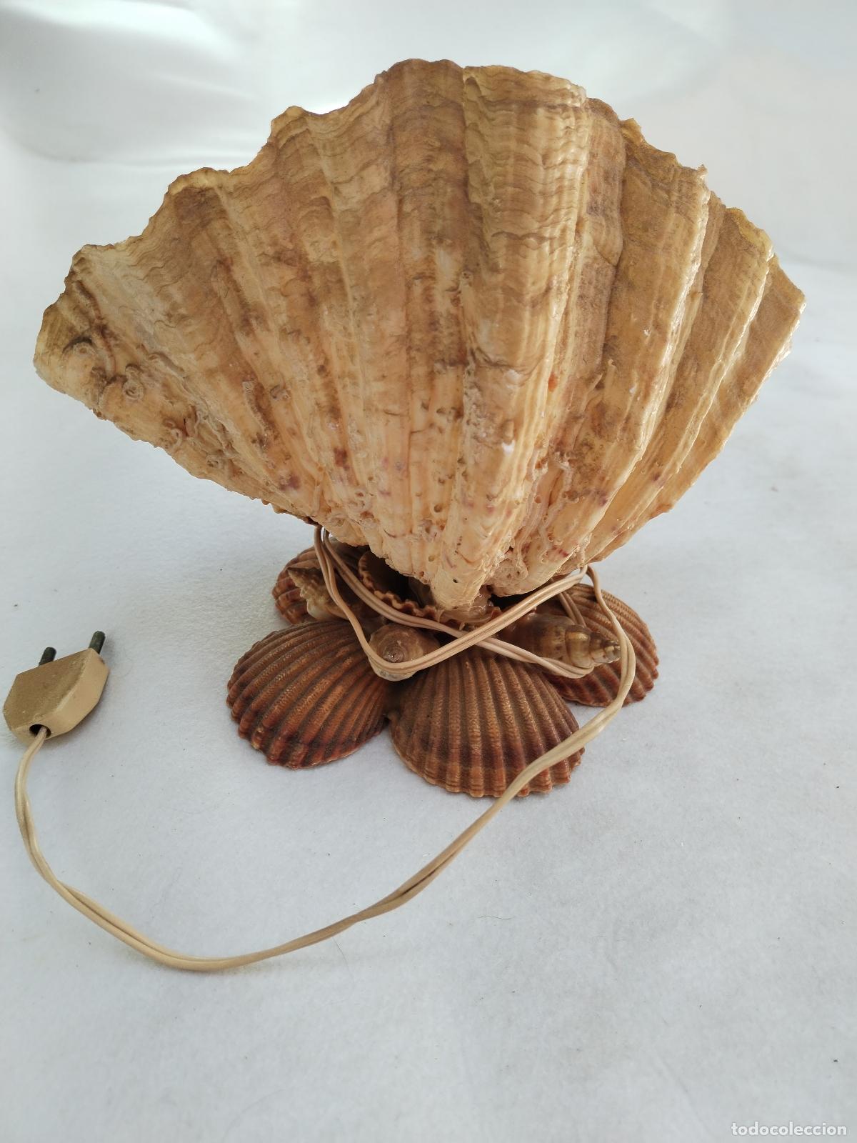 Antig&uuml;edades: san pancracio lampara de conchas - Foto 2