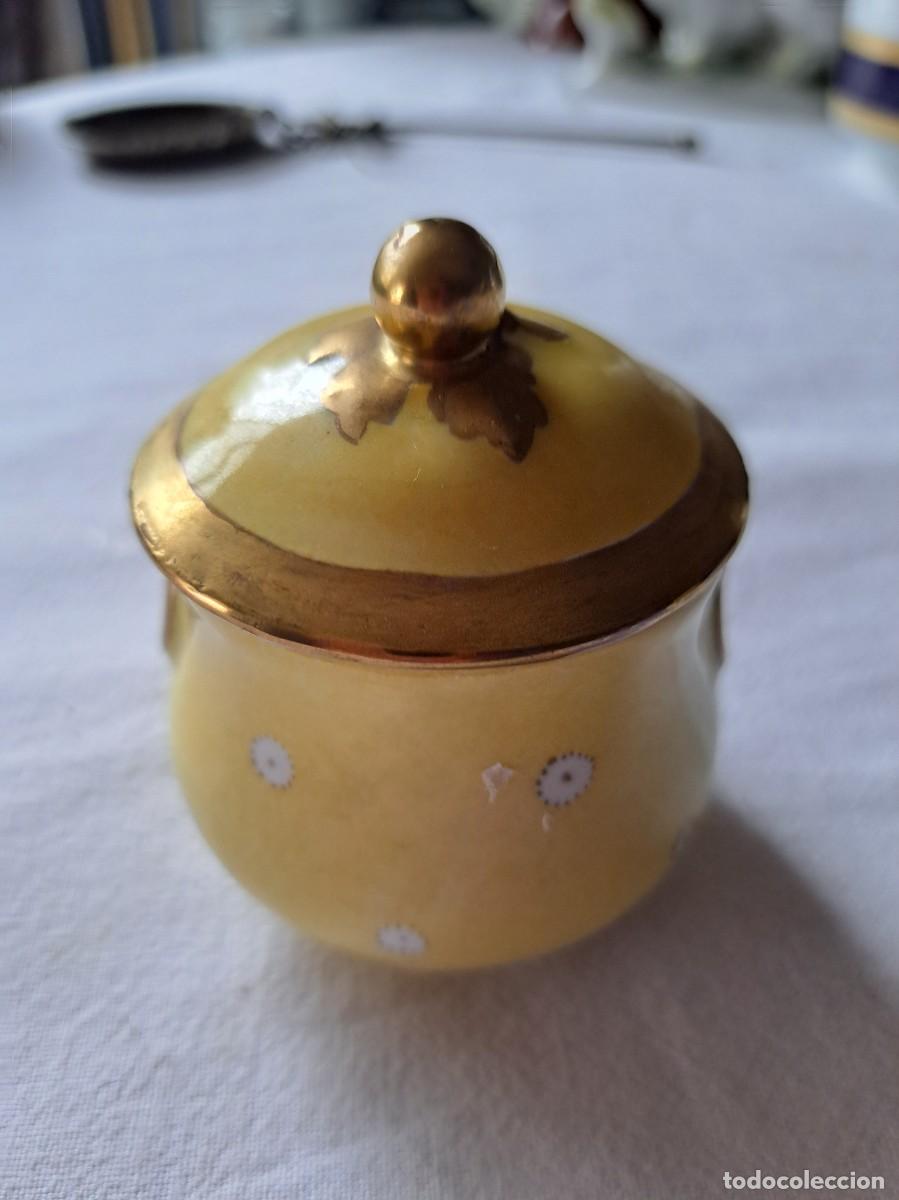 Antig&uuml;edades: Bonita mostardera de porcelana Pullivuyt France, pinatada a mano.
