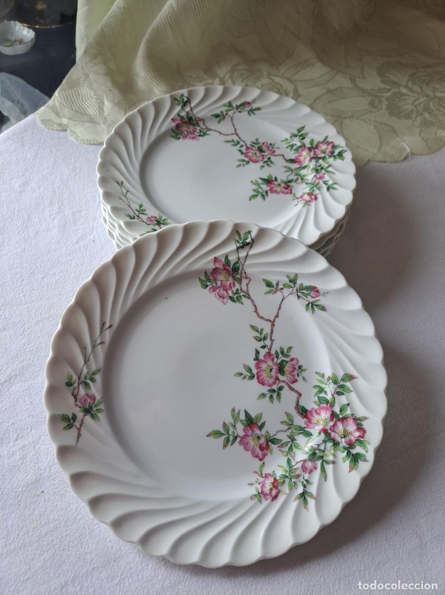 Antig&uuml;edades: Lote de 6 platos de porcelana Haviland Limoges France, decorados con flores