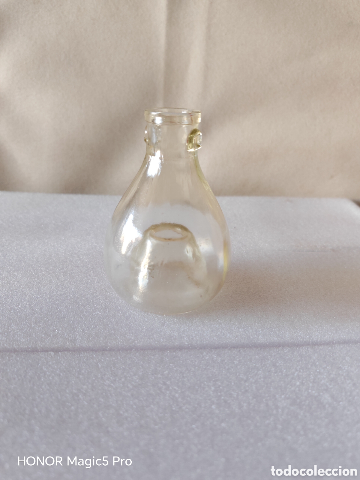 Antig&uuml;edades: Antigua botella de cristal para colgar en los &aacute;rboles de la fruta para cazar mosca e insecto