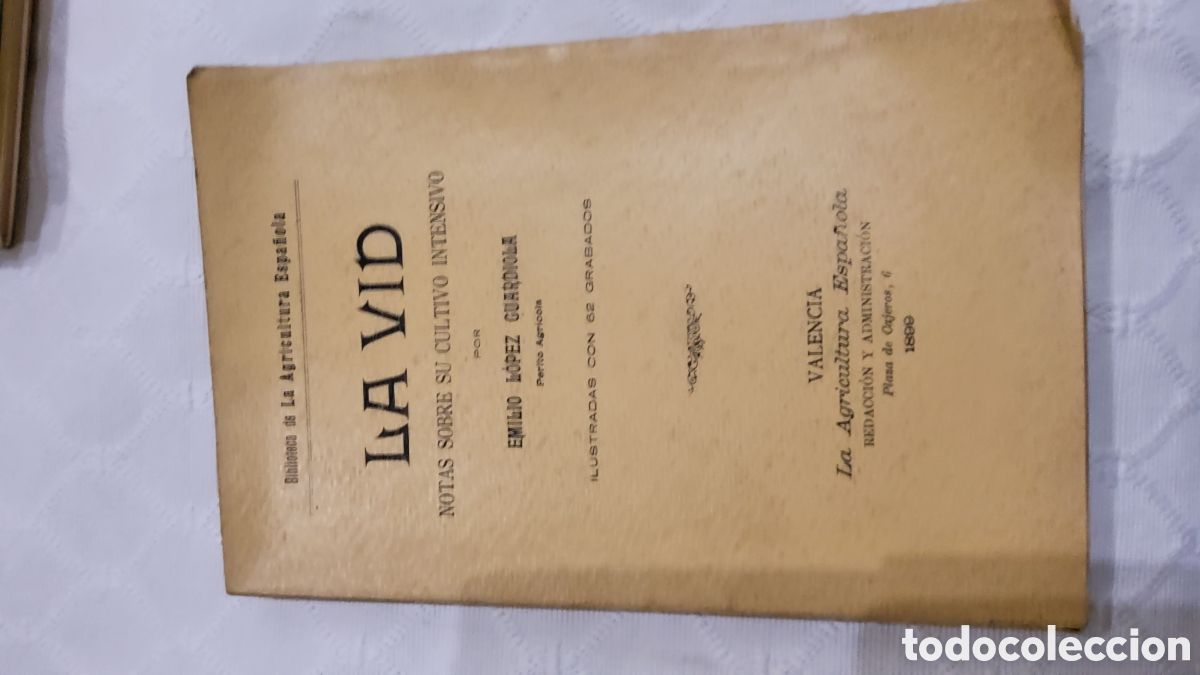 Antig&uuml;edades: LA VID, NOTAS SOBRE SU CULTIVO INTENSIVO