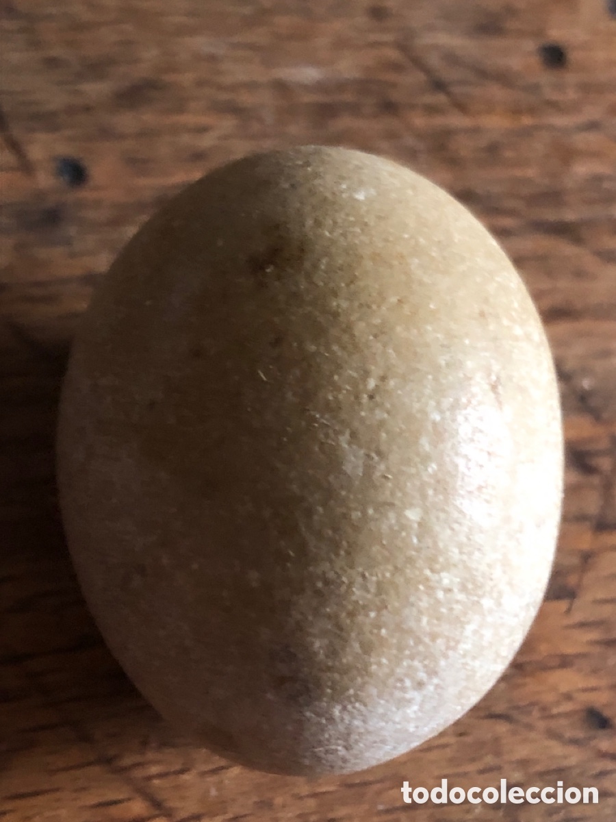 Antig&uuml;edades: Huevo piedra cria aves