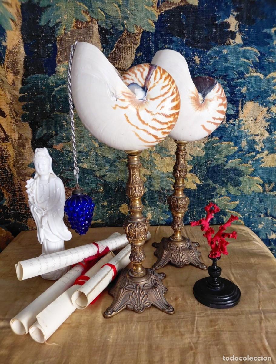 Antig&uuml;edades: Pareja caracolas nautilus peanas antiguas bronce.