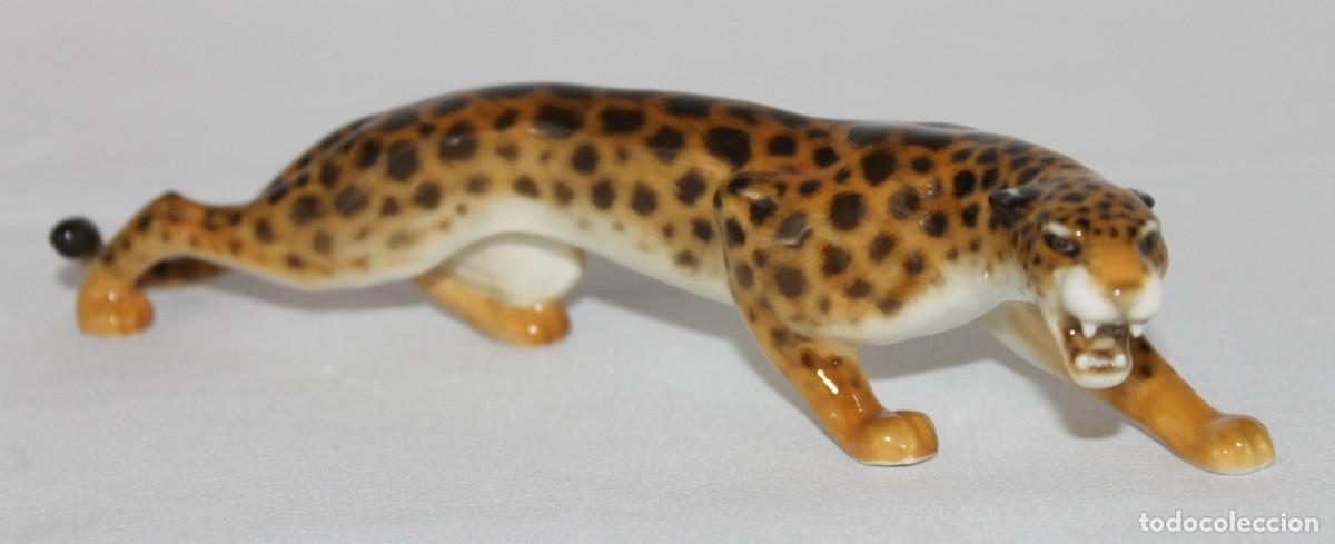 Antig&uuml;edades: Leopardo Hutschenreuther. Figura de porcelana alemana. Sellada JHR