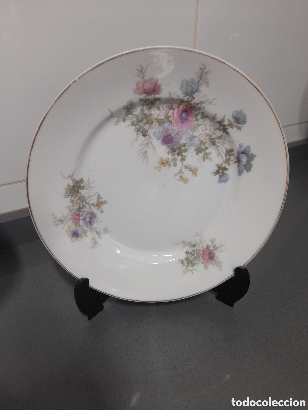 Antig&uuml;edades: Pareja de platos llanos decoraci&oacute;n flores.