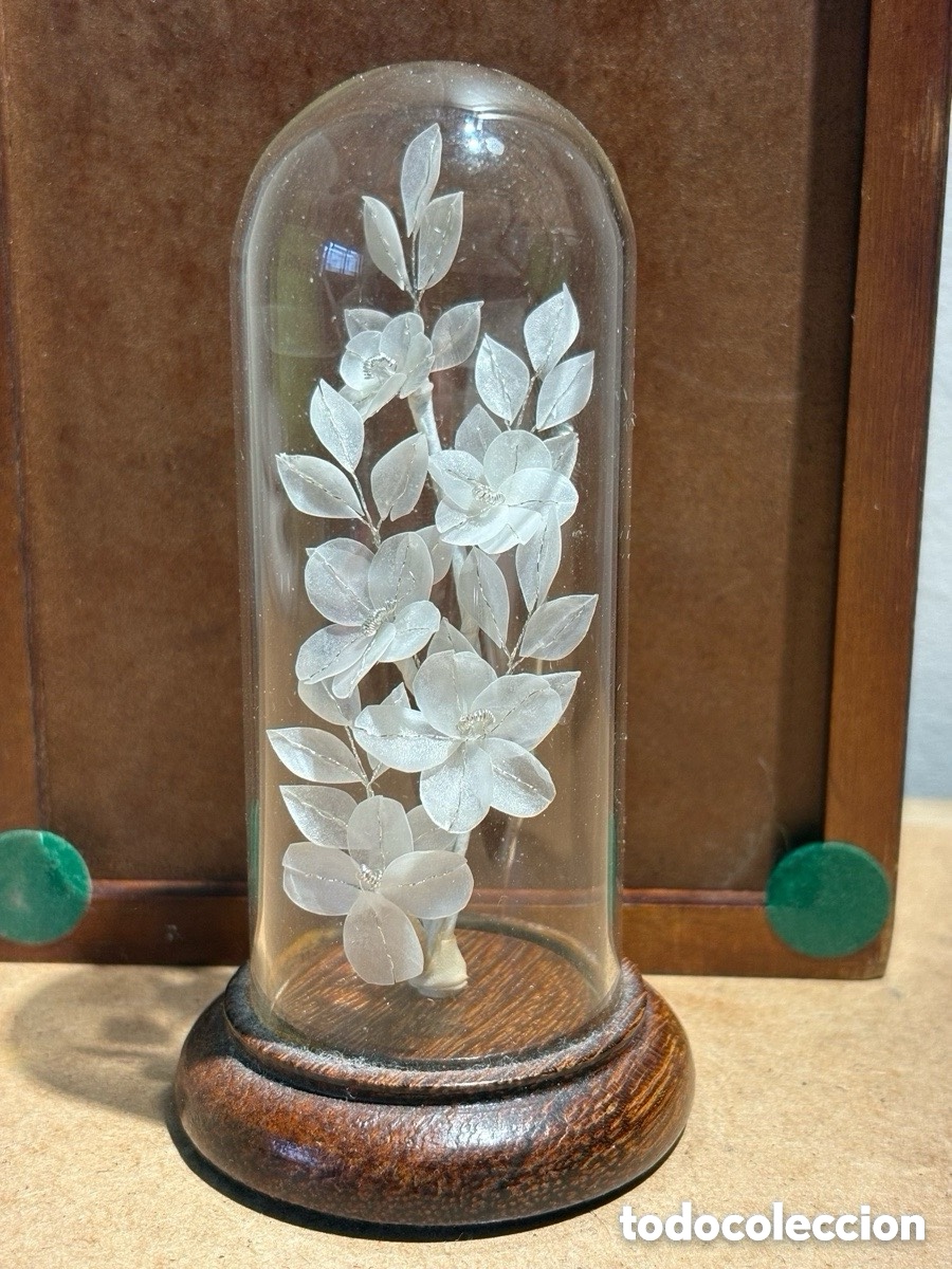 Antig&uuml;edades: Delicados p&eacute;talos de n&aacute;car e hilo de plata en urna de cristal (A13)