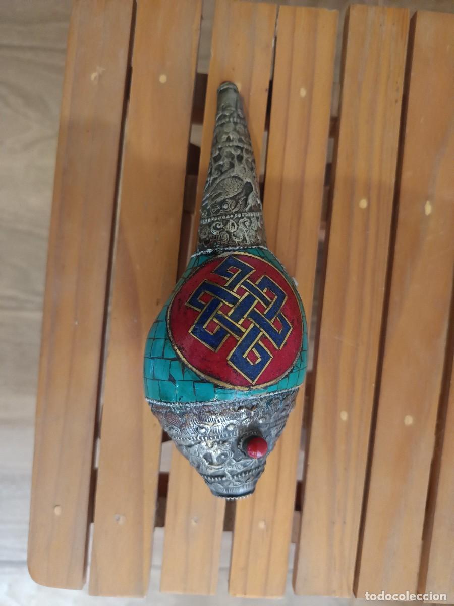 Antig&uuml;edades: Caracola tibetana ritual, conocida como Sankha, elaborada artesanalmente con incrustaciones de turqu