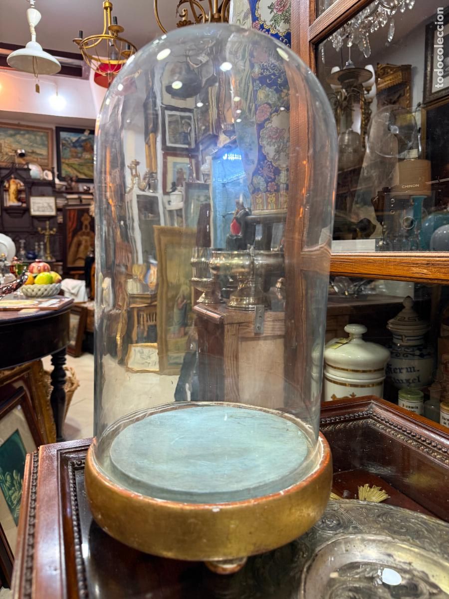 Antig&uuml;edades: ANTIGUO FANAL DE CRISTAL Y BASE DE MADERA Y ORO FINO - MEDIDA INTERIOR 37X20 CM - RELIFGIOSO