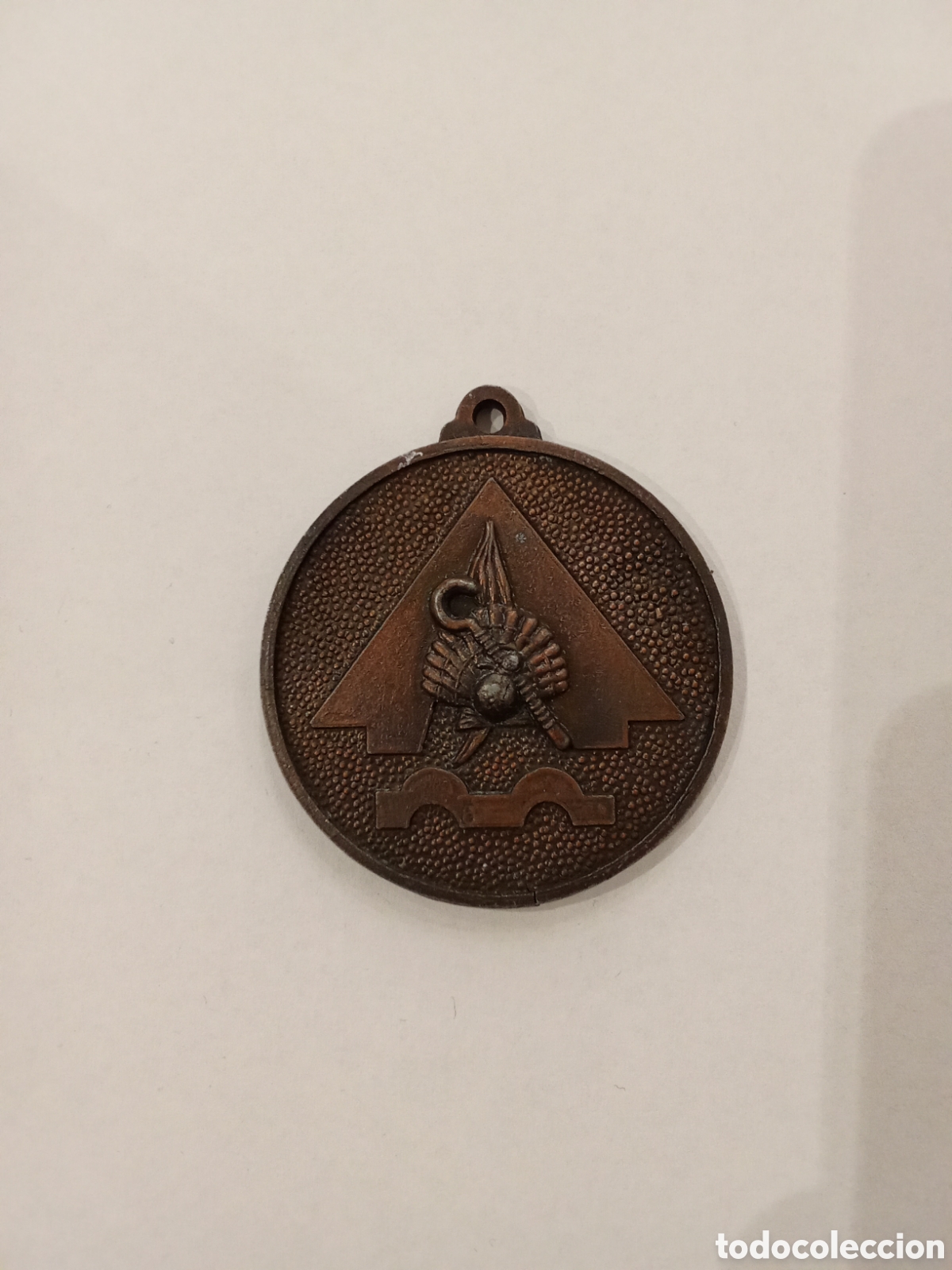 Antig&uuml;edades: Medalla Vamos a Santiago Delegaci&oacute;n de la Juventud 1976