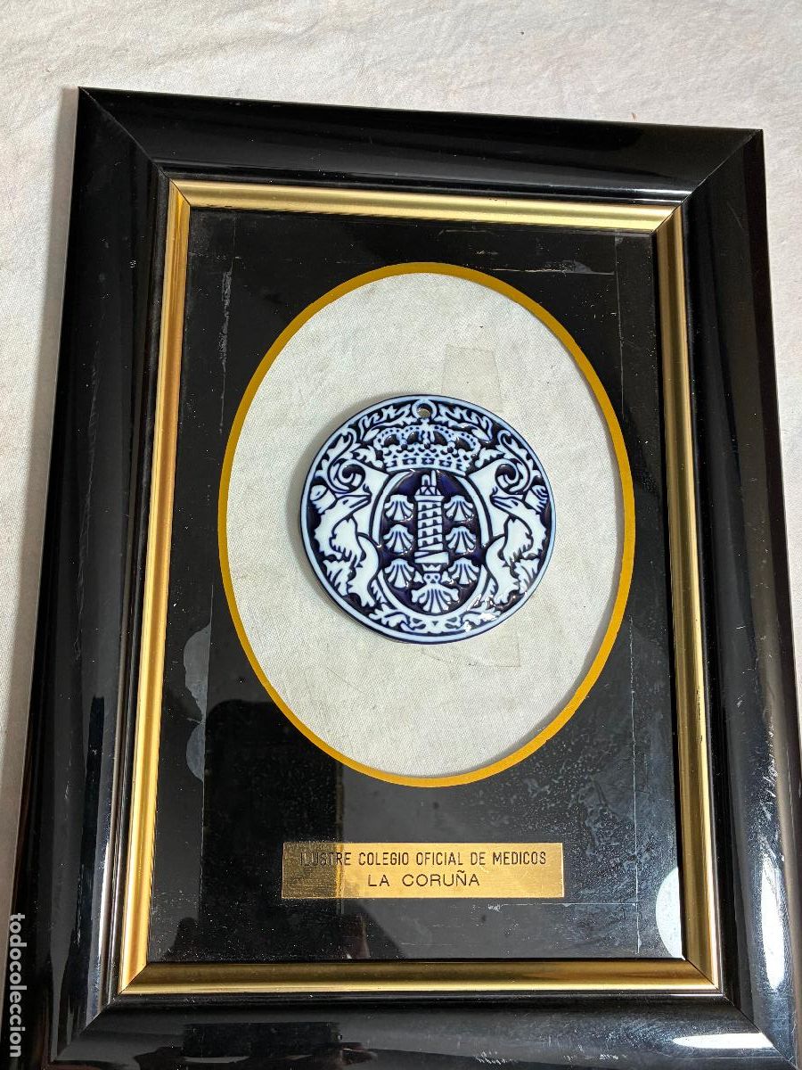 Antig&uuml;edades: MMedallon Sargadelos planta Do Castro C 8 placa ilustre colegio de m&eacute;dicos de La Coru&ntilde;a 30x23 cm