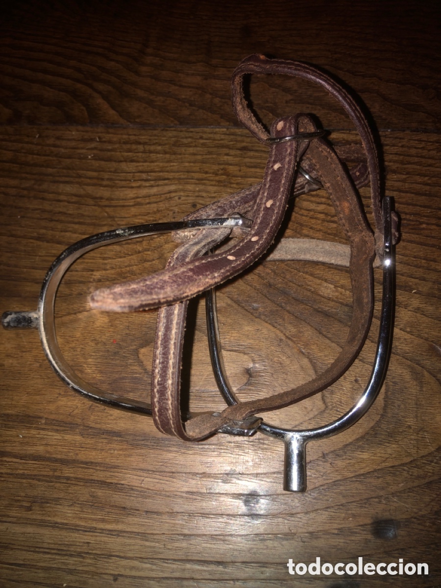 Antig&uuml;edades: Espuelas antiguas (pareja)