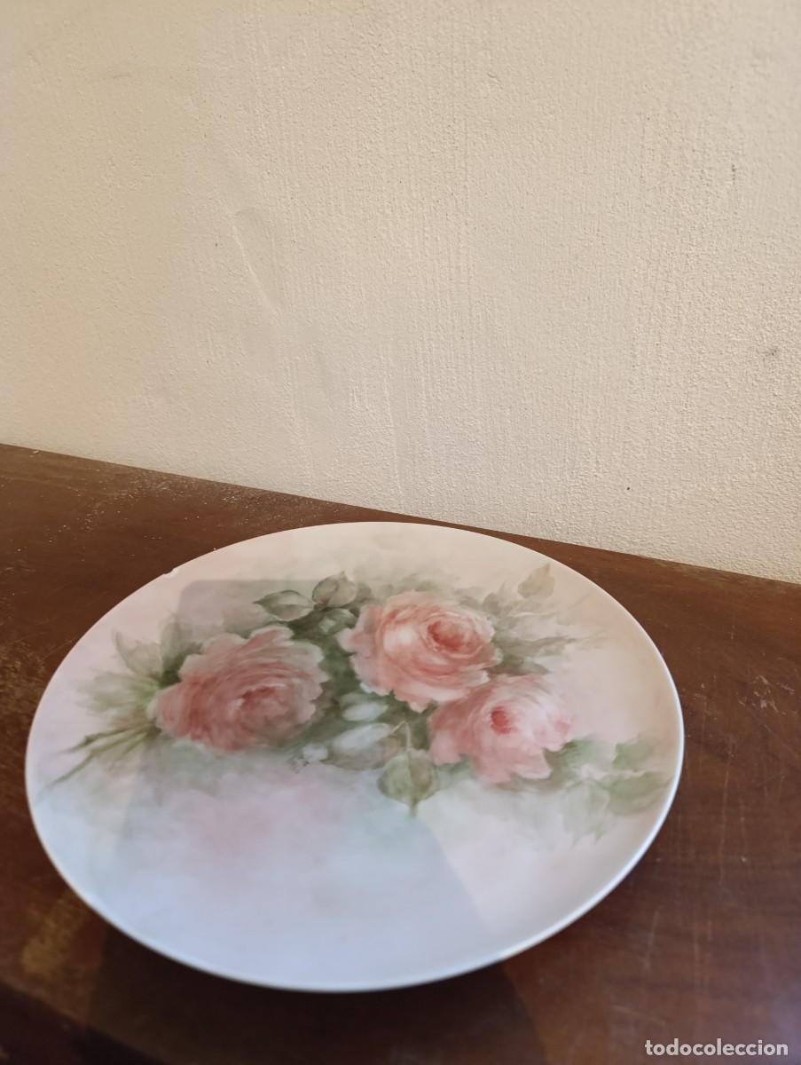 Antig&uuml;edades: precioso plato decorativo de porcelana Schonwald con motivo floral