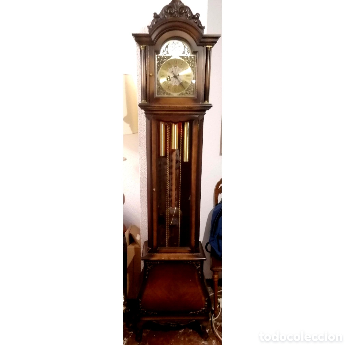 Antiquit&eacute;s: Reloj de pie antiguo Tempus Futgi