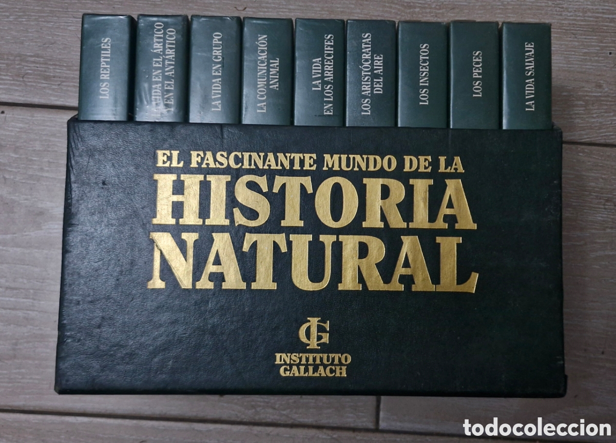 Antig&uuml;edades: Colecci&oacute;n de cintas VHS El Fascinante Mundo de la Historia Natural del Instituto Gallach.