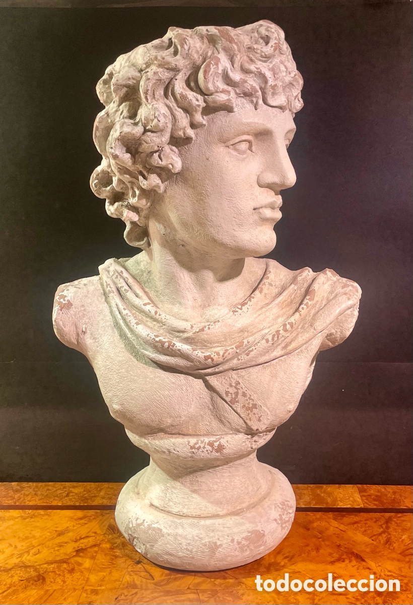 Antig&uuml;edades: Busto Masculino Cl&aacute;sico