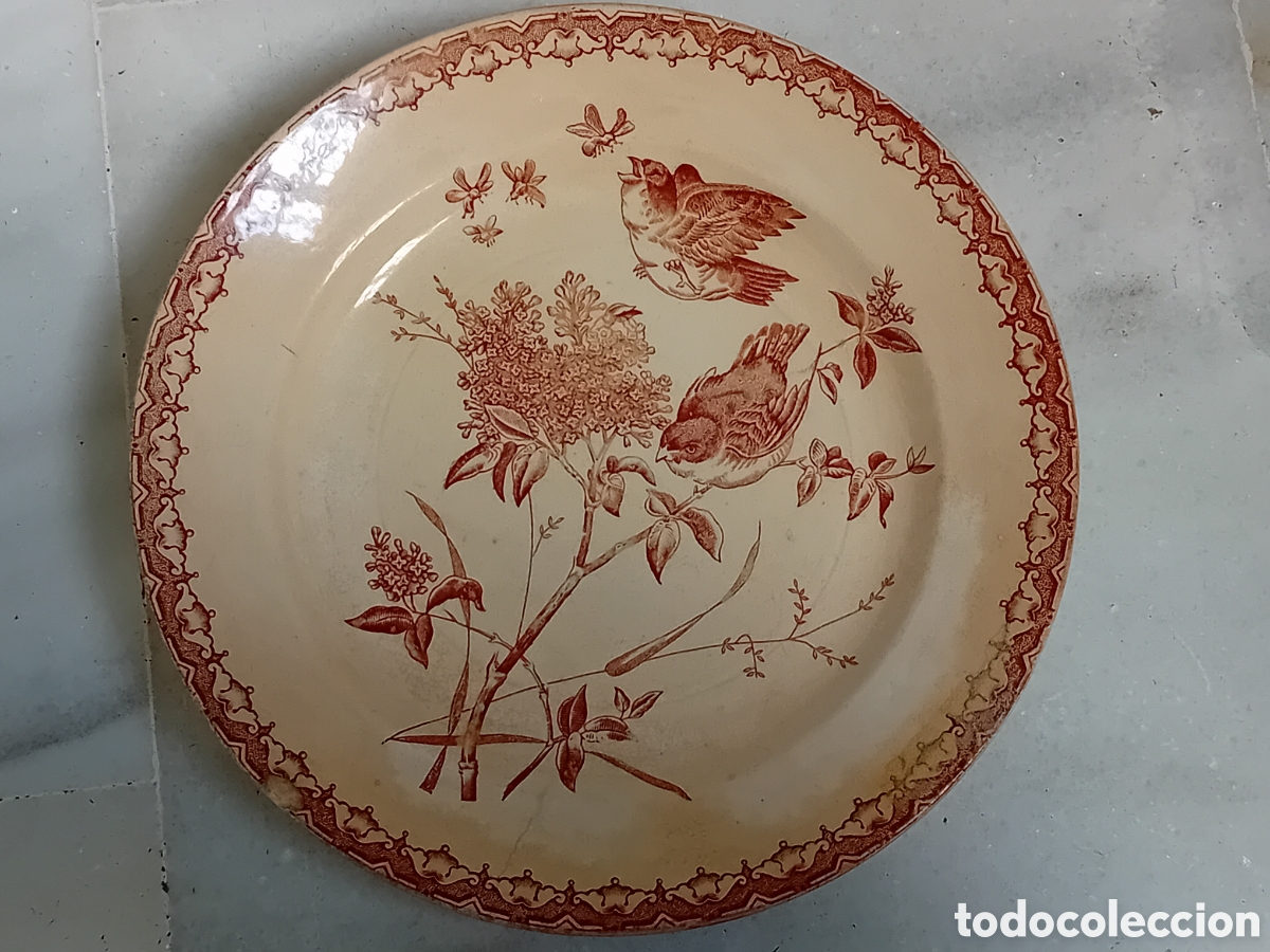 Antiquit&auml;ten: ANTIGUO PLATO PICKMAN Y CIA DE FINALES SIGLO XIX. MIDE 23 CM DIAMETRO