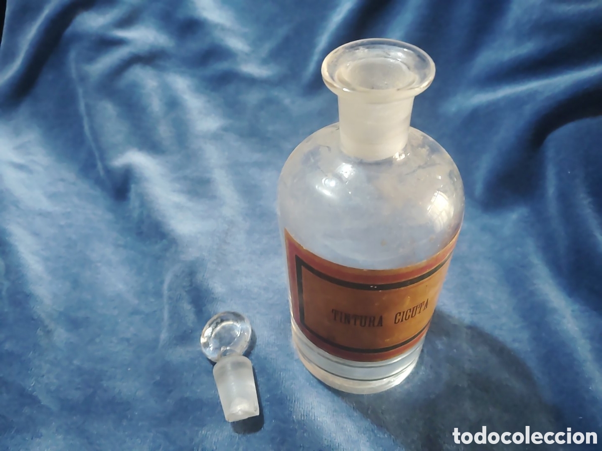 Antig&uuml;edades: Tarro de farmacia, para Tintura Cicuta. Con tap&oacute;n, y pegatina. Perfecto estado. A&ntilde;os 20